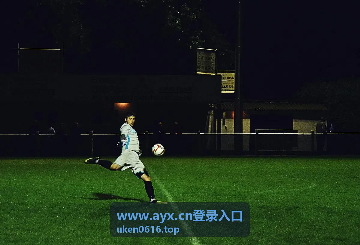 www.ayx.cn登录入口验证码异常的排查条目封面